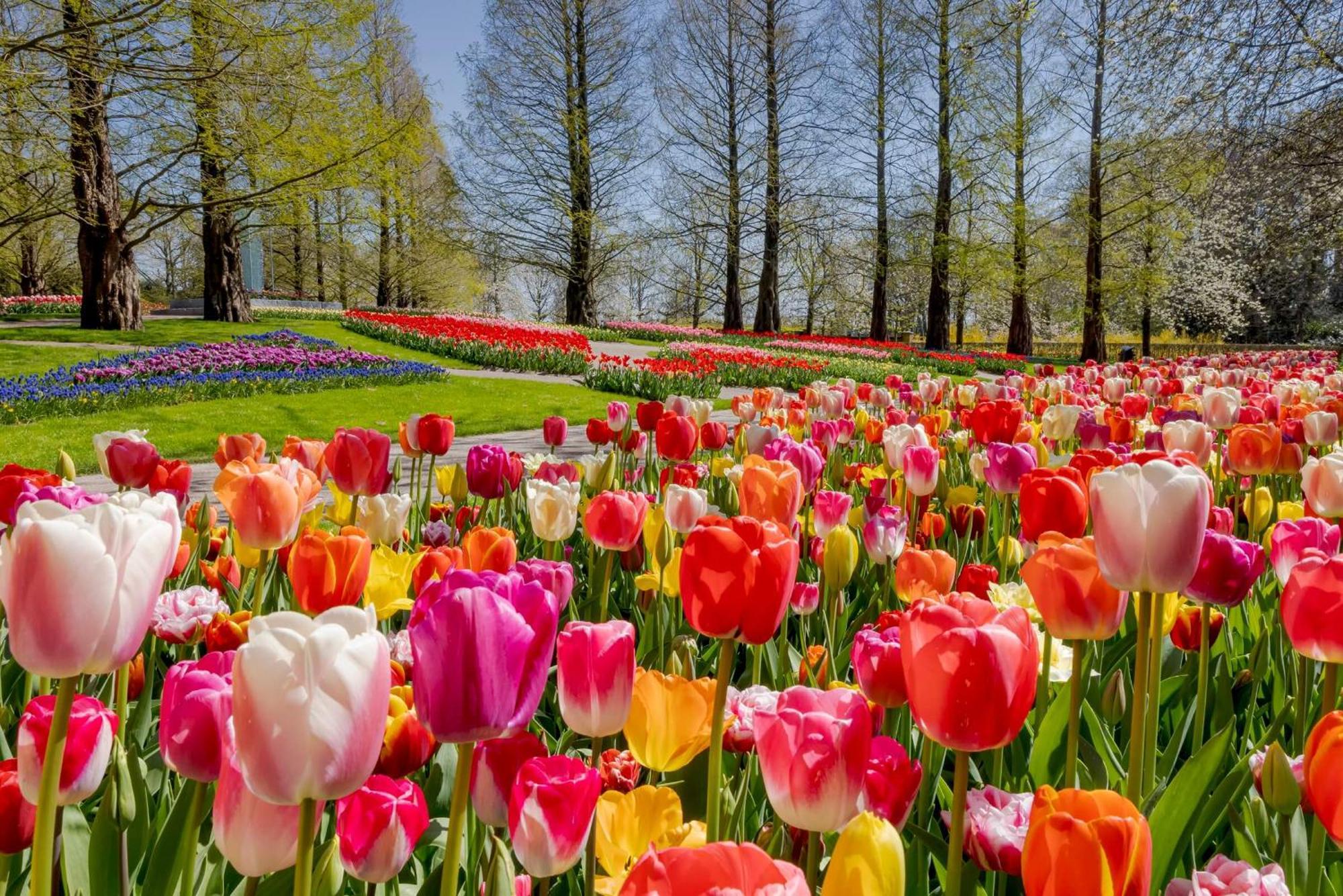 Heerehuys Lisse Villa Luaran gambar