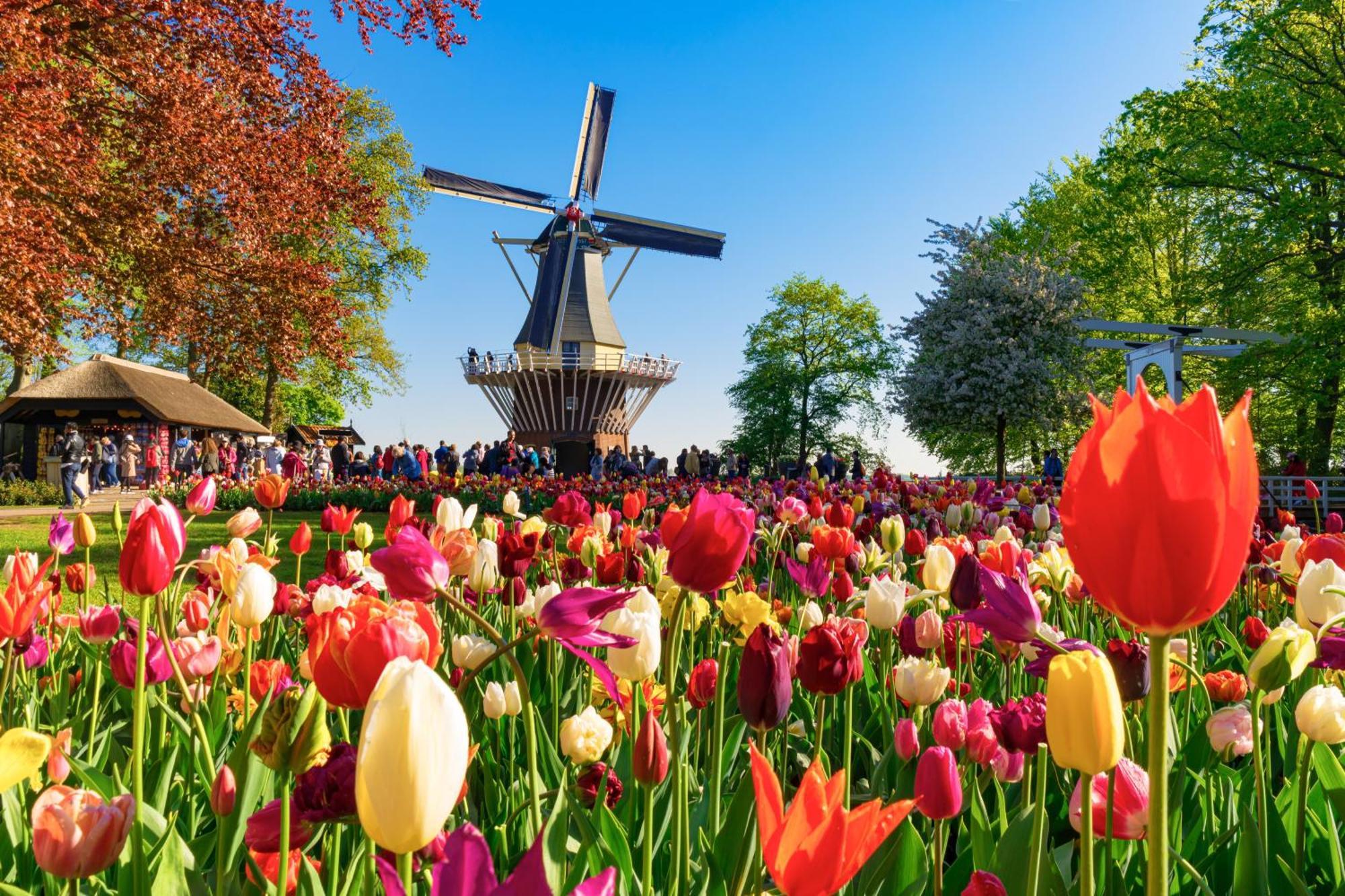 Heerehuys Lisse Villa Luaran gambar